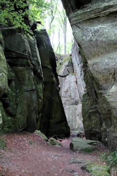 istock Heringer Millen, walking, hiking W3, mullerthal 2160579670