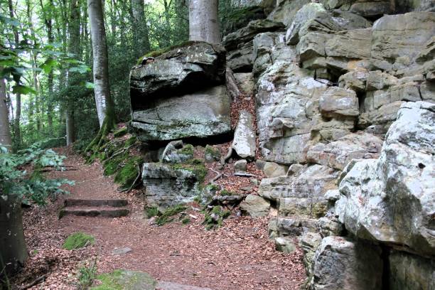 istock Heringer Millen, walking, hiking W3, mullerthal 2160579673