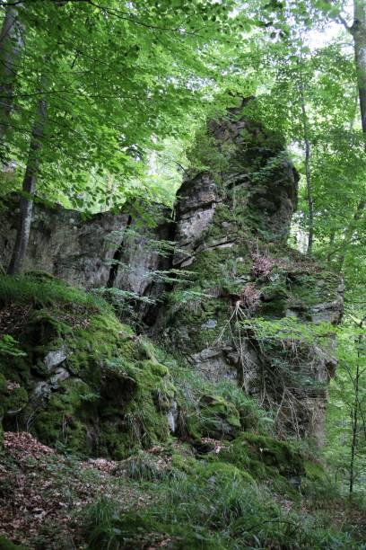 istock Heringer Millen, walking, hiking W3, mullerthal 2160579728