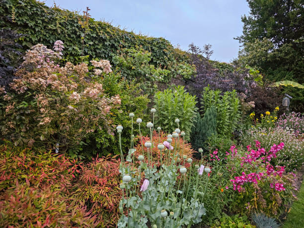 istock A garden with many flowers 2160580703