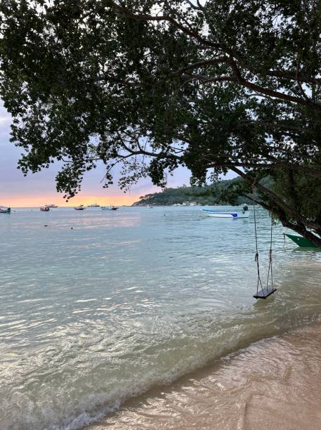 istock Beautiful Koh Tao 2160584830