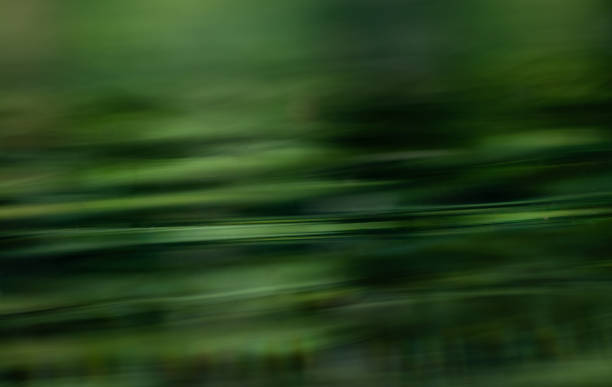 Emerald creek waters running through the forest
