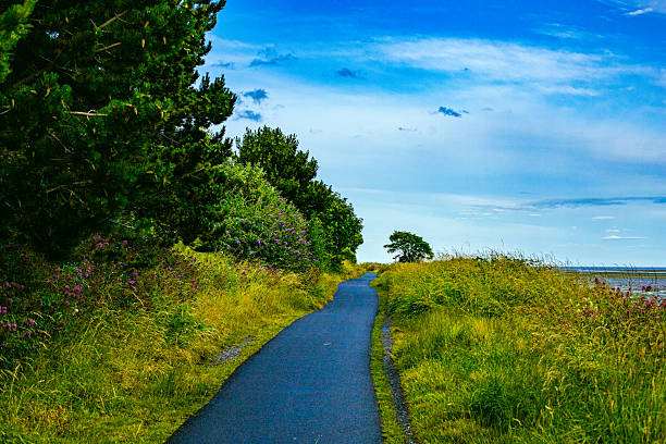 Dublin, Ireland - wetland beach under blue sky and white clouds