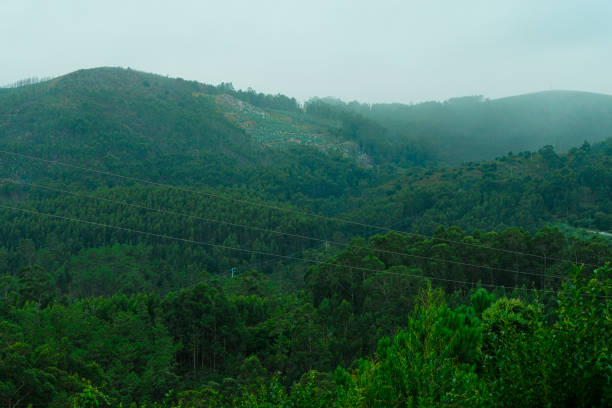 Green Mountain Landscape Trees Forest View Minimal Travel Destination