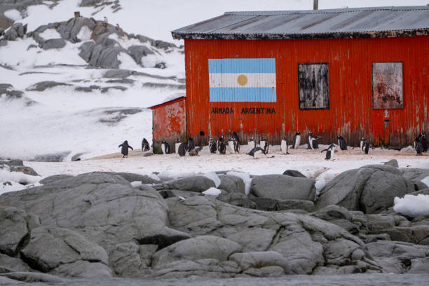 istock Penguins in Antarctica. Research Base. 2160589149