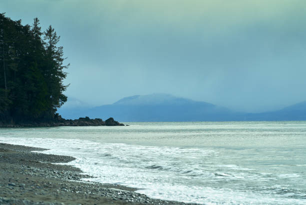 Misty Pacific Ocean shore at French Beach Park near Sooke BC.