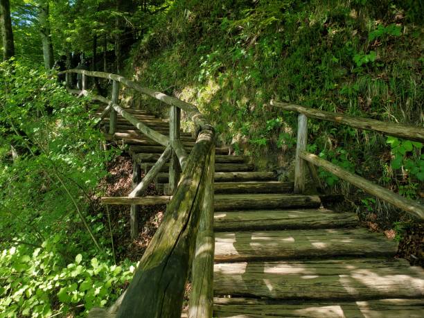 istock Stairs on a footpath through the woods 2160590023