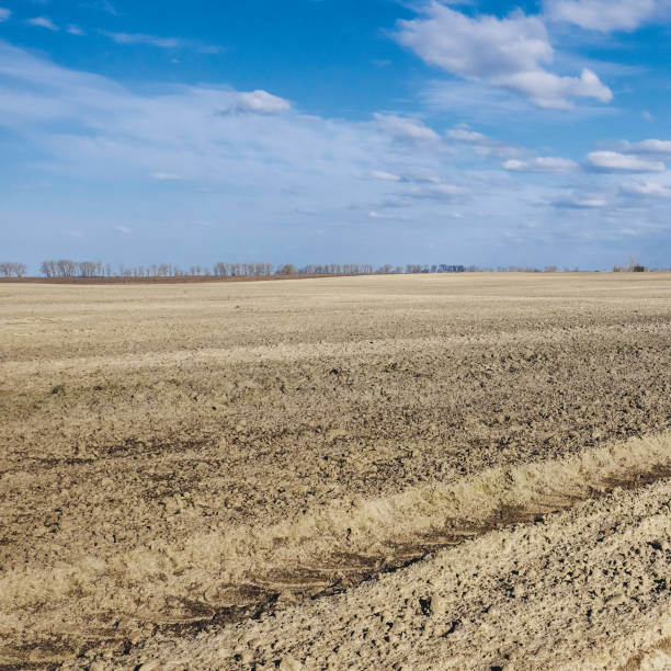 istock The field is vast and the sky is expansive. 2160598358