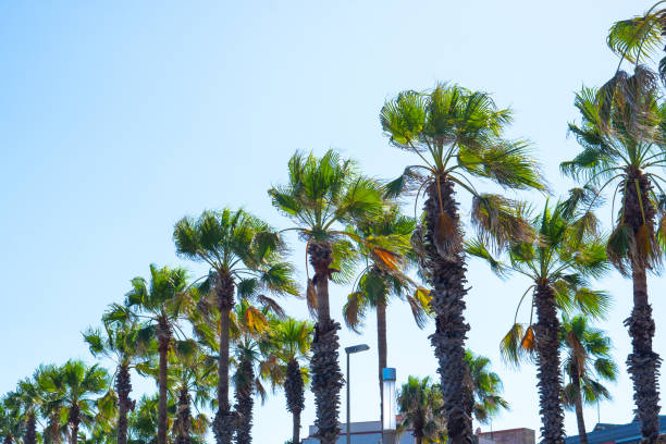 istock Stunning panoramic view of Barcelona cityscape 2160599052