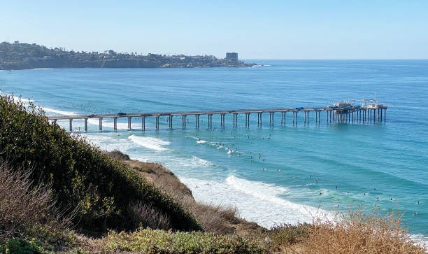 istock La Jolla Cove Ellen Browning Scripps Pier View 2160601347