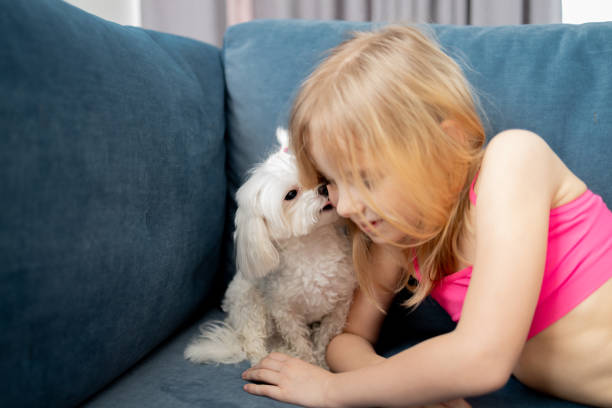 istock Child in pink top affectionately embracing Maltese dog 2160601852