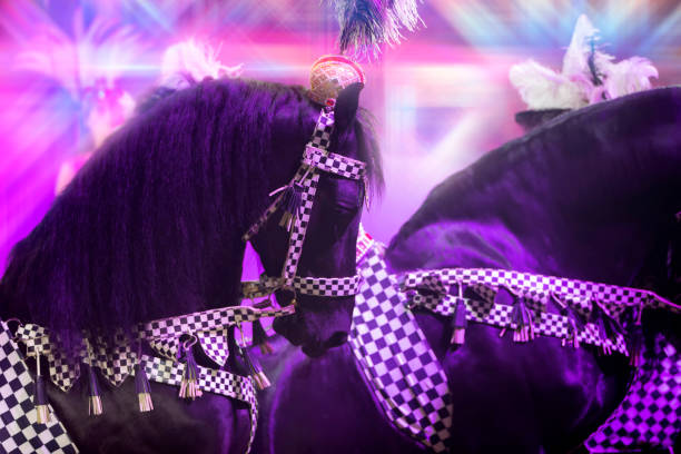 Closeup shot of carousel horse toy.