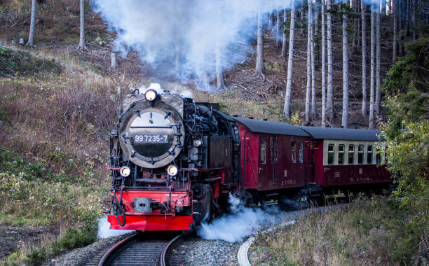istock Steam locomotive in Wernigerode in Harz / Germany 2160607868