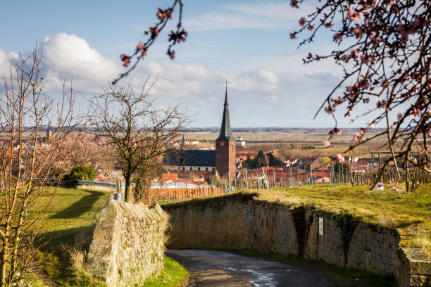 Wine-growing regions | Deidesheim in Germany