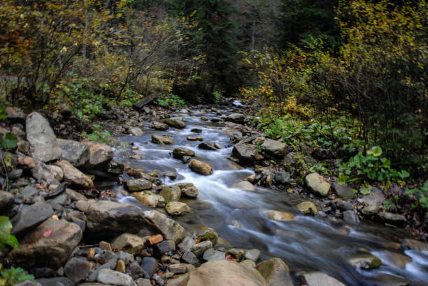 Carpathians, mountains of Ukraine