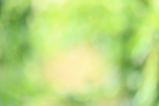 istock Blurry Green Background - Fresh Green Spring and Summer Bokeh Effect 2160608648