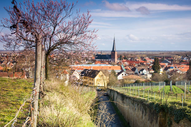istock Wine-growing regions | Deidesheim in Germany 2160608979