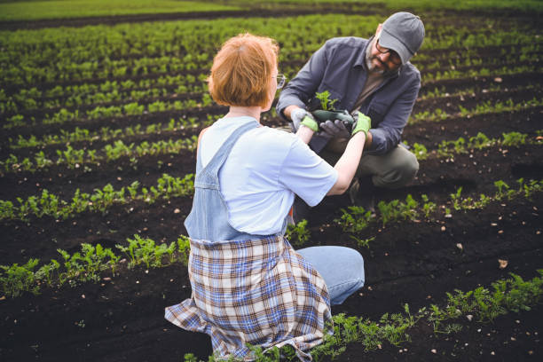 man and woman farmers checking vegetable field progress