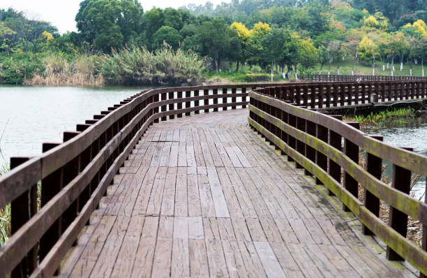 Wooden bridge over the lake.