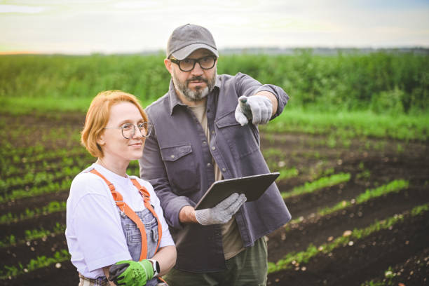 istock man and woman farmers checking vegetable field progress, holding tablet using internet. 2160619021