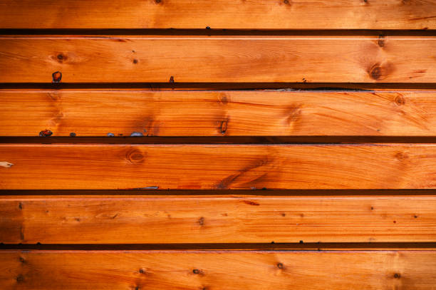 From a ghost town in Southwest Colorado, this exterior siding from an abandoned cabin is a golden colored weathered pine planks. Lit by the late-day sun, it is a very detailed image, showing the texture of the old pine and rusting nails.