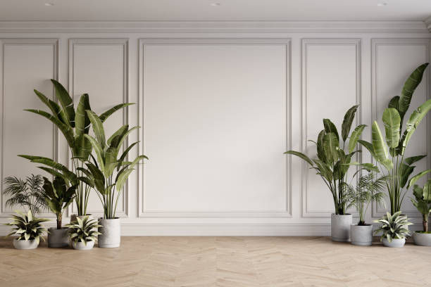 istock Empty classic white interior with moldings, potted tropical plants and chevron wood floor. 3d render illustration mockup. 2160623023