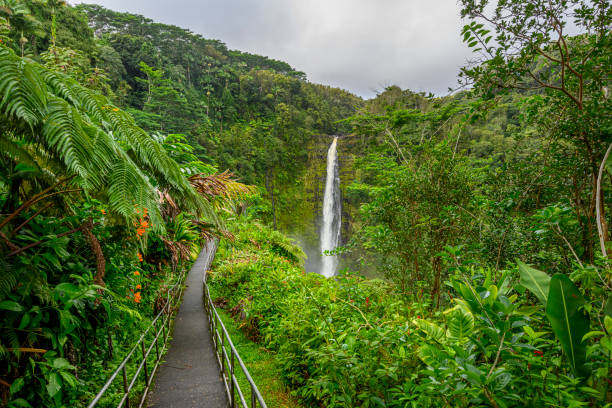 Lush Waterfall in Hawaii,  Long exposure used to blur and soften water.