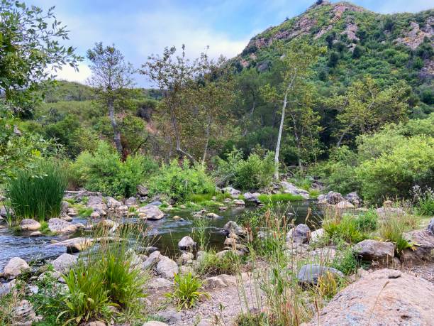 istock Shallow river at Malibu Creek State Park 2160625655