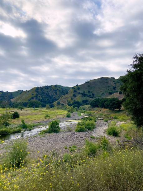 istock Shallow river in Malibu Creek State Park 2160625669