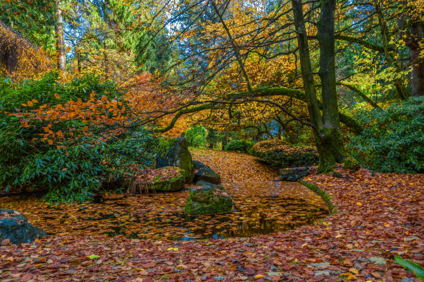 istock Small pond in a city park in a fall 2160628812