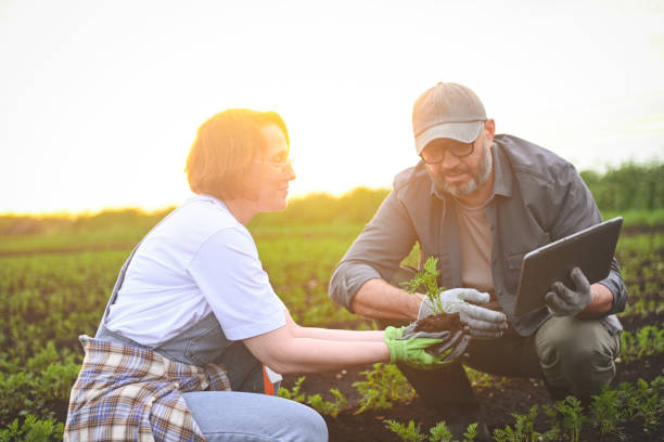 istock man and woman farmers checking vegetable field progress, holding tablet using internet. 2160629813