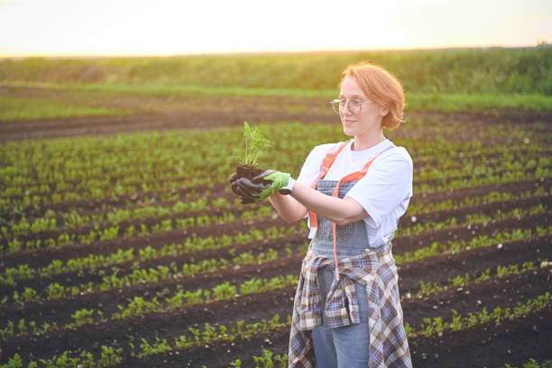 istock woman farmer holding soil with sprout in his hands 2160632276