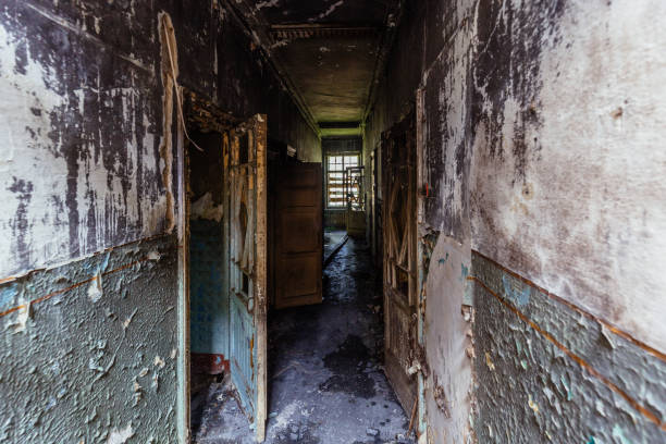 istock Burnt ruined historical building, consequences of fire 2160635202