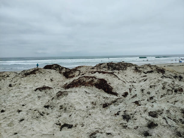 Summer Vacation in Ocean Beach San Diego California