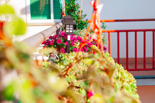 Balcony with a potted plants in bloom and a lamp