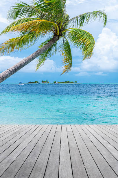 istock Empty wooden platform beside tropical beach 2160661416