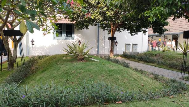 istock garden behind the house 2160664645