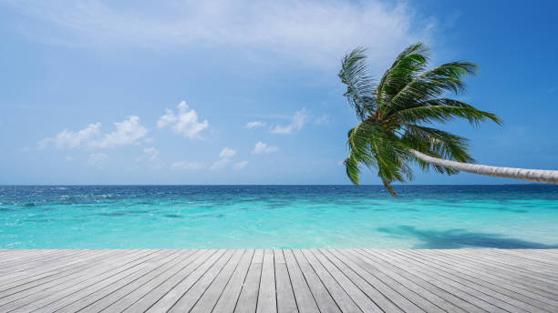 istock Empty wooden platform beside tropical paradise beach 2160664923