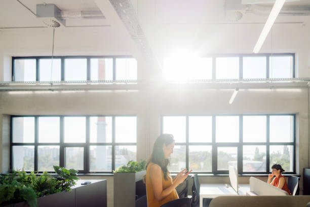 istock Pregnant woman working in the office 2160673877
