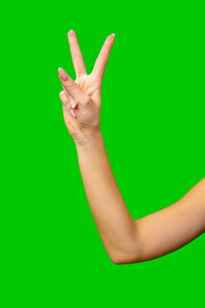 istock Woman Holding Out Hand on Green Screen 2160675577