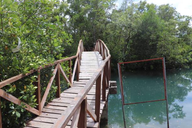istock Wooden foot bridge 2160676419