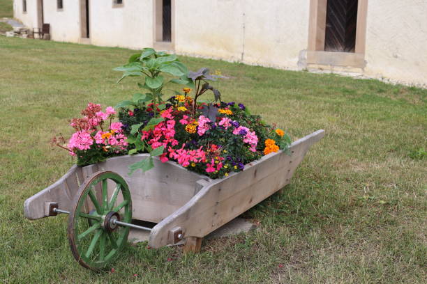 istock Beautiful summer day in Dalheim Monastery 2160678223
