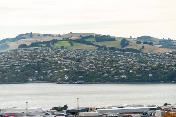 istock Residential Houses in Dunedin 2160678577