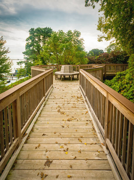 istock Custom Built wood deck Detroit River 2160680555