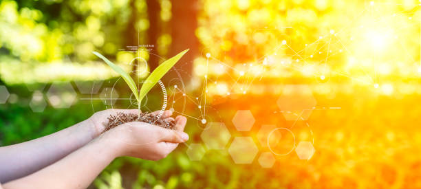 istock Sprout in hand. Natural technologies, sustainable development, agriculture and biotechnology concept. 2160680871