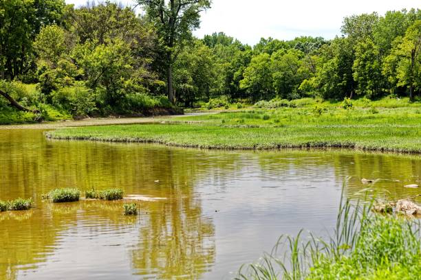 istock A Maumee river flowing through the state park, shallow water 2160681510