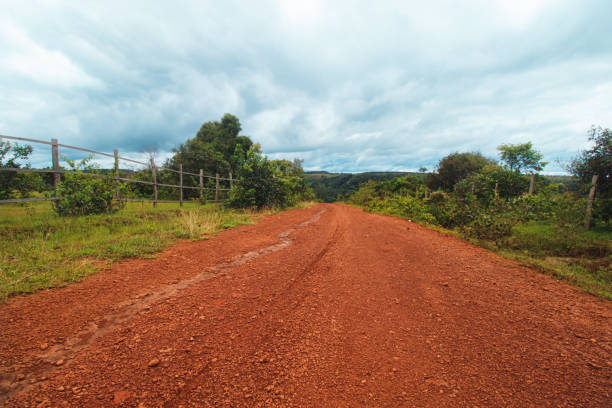 istock A scenic dirt road leading through lush greenery and under a cloudy sky. 2160683641