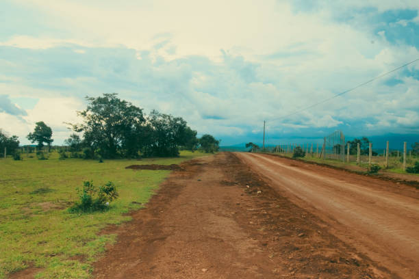 istock Long dirt road flanked by a lush green field and trees under an overcast sky 2160683809