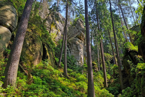 istock Beautiful green forest with rocks in the mountains. 2160686351