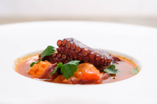 istock Octopus with tomato and parsley dish 2160689398